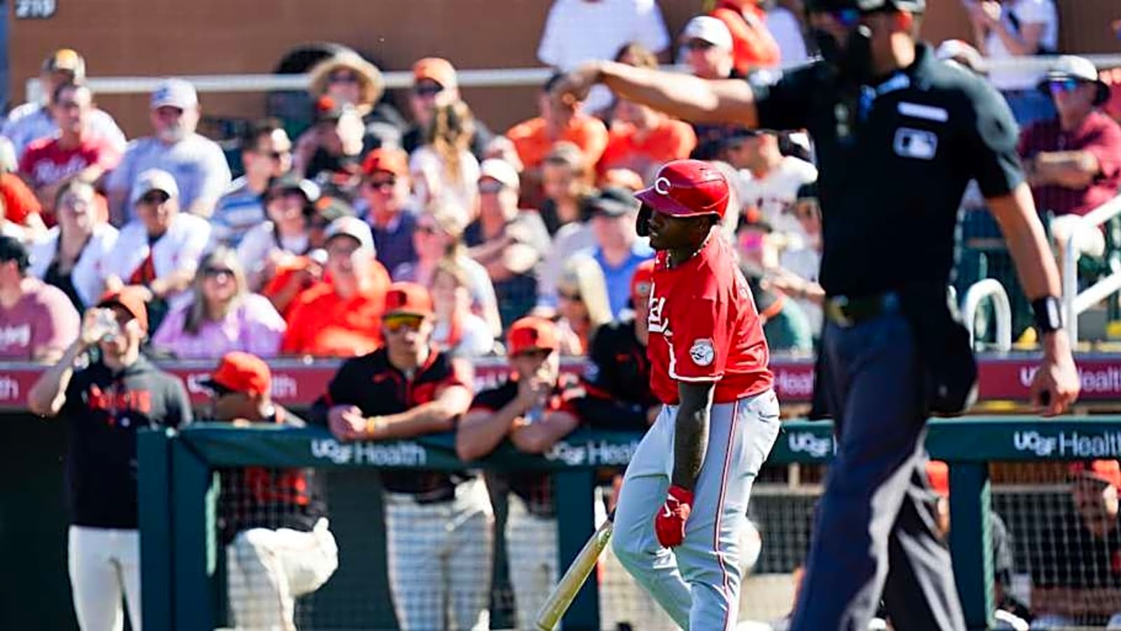 Cincinnati Reds Reds Minor League Affiliate Clinches Playoff Berth Already