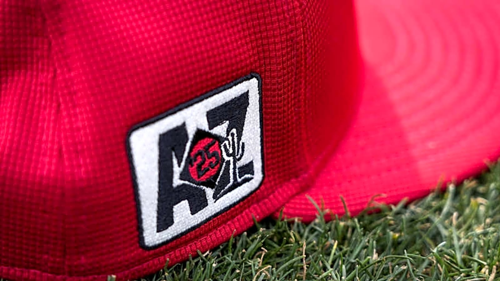 Cincinnati Reds Release Two Minor Leaguers