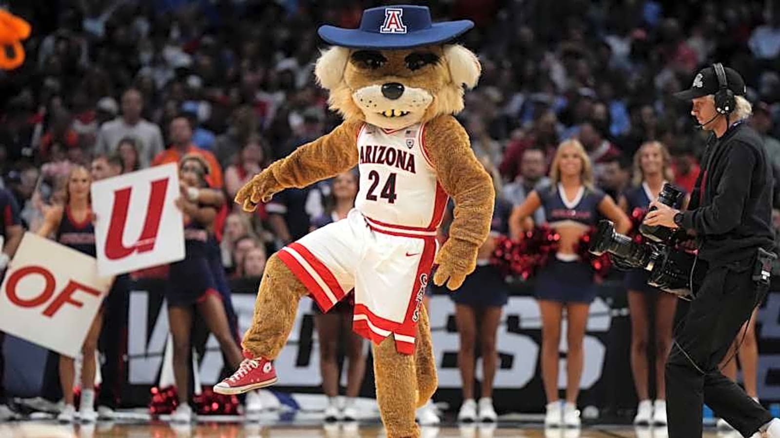 Arizona Freshmen to Make Immediate Impact