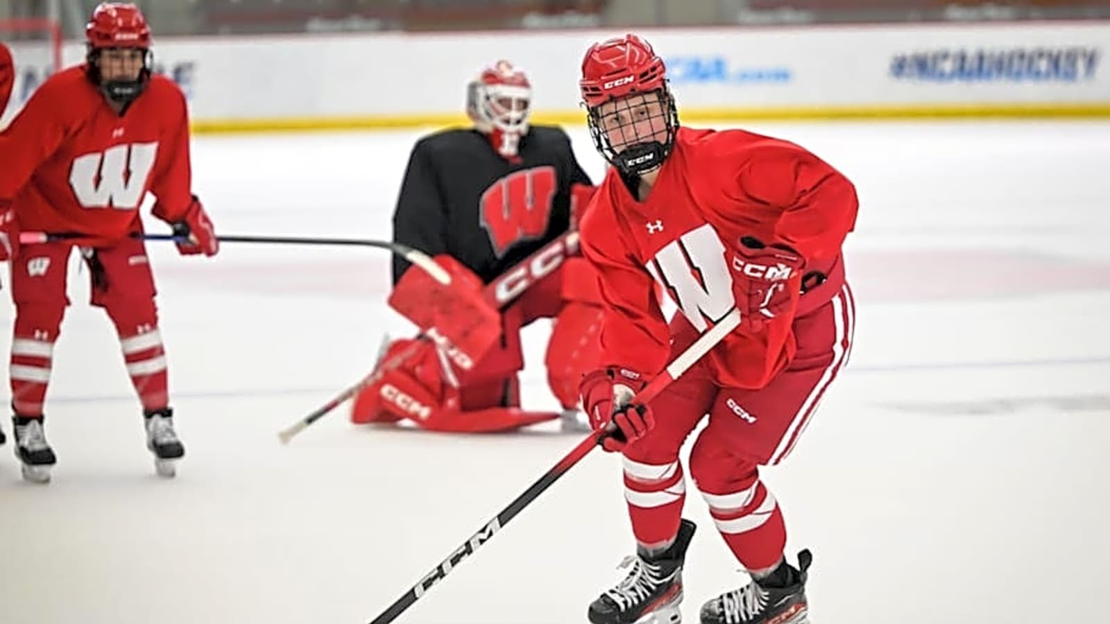 Badgers women's hockey falls in pre-NCAA Tournament rankings