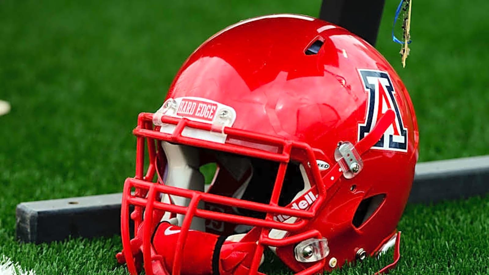Arizona Legend Ortege Jenkins Breaks Down Harris Addition