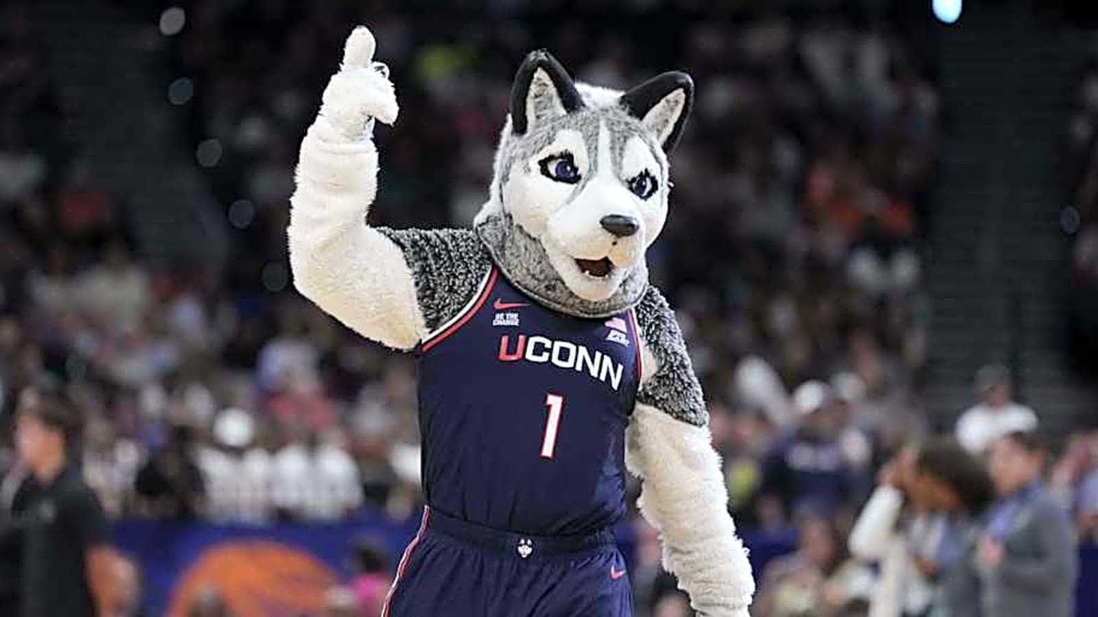 Several UConn Stars Named to Exclusive Big East Honors