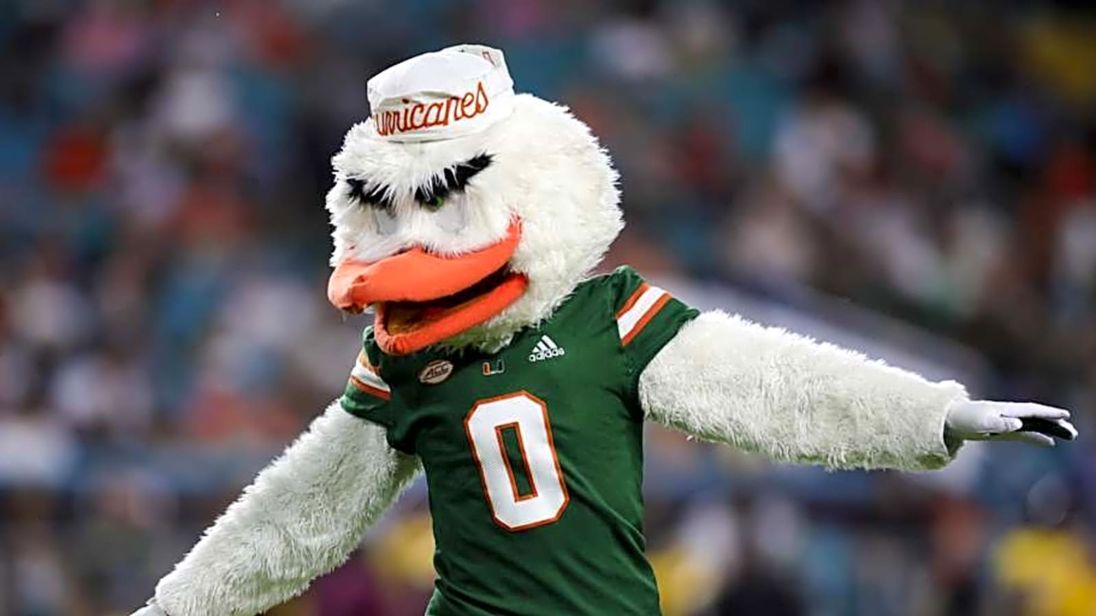 Miami&#39;s Sebastian the Ibis Tabbed for the Mascot Hall of Fame