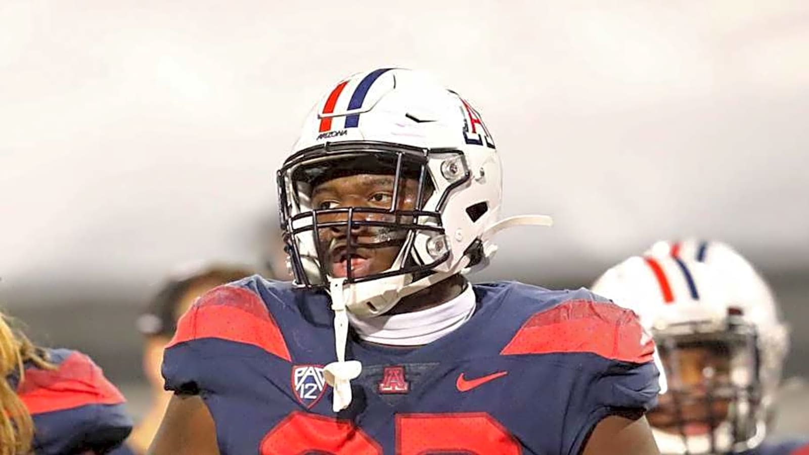 Arizona Cardinals Officially Sign New DL