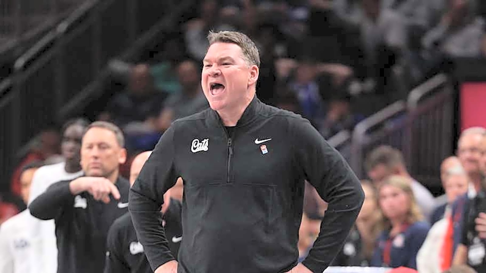 3 Long Island Players Wildcats Need to Watch