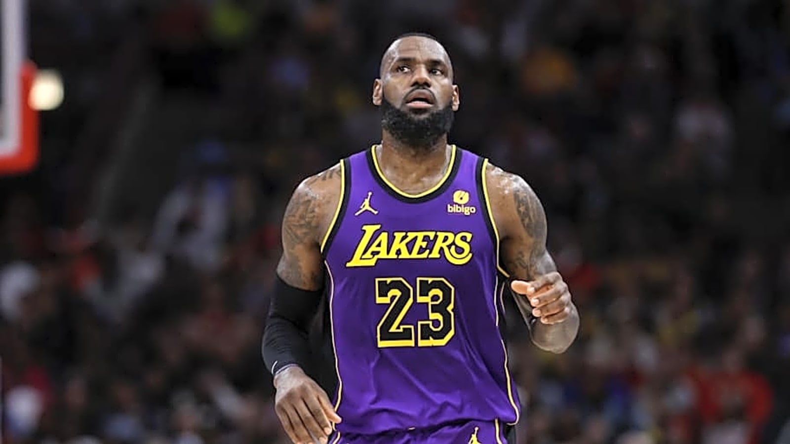 Lakers&#39; LeBron James Reportedly Has Specific Hopes for Final NBA Season