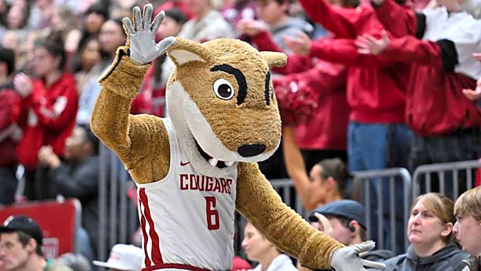 Washington State Basketball Signs Finnish Prospect Brunel Madzou