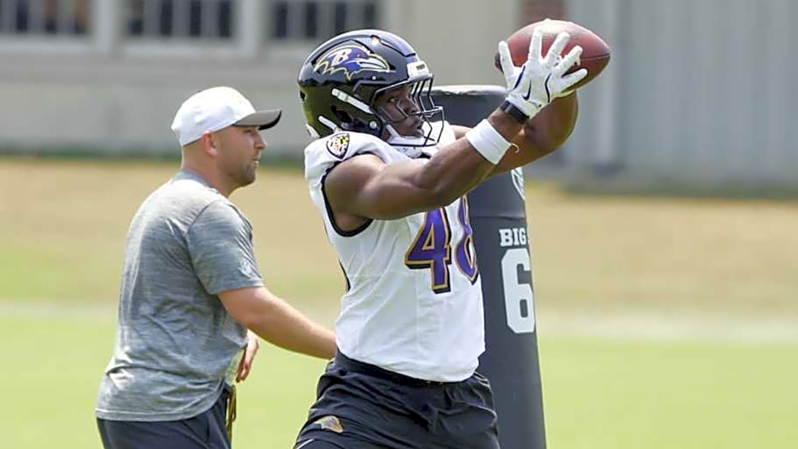 Ravens Lose Rookie LB to Season-Ending Injury