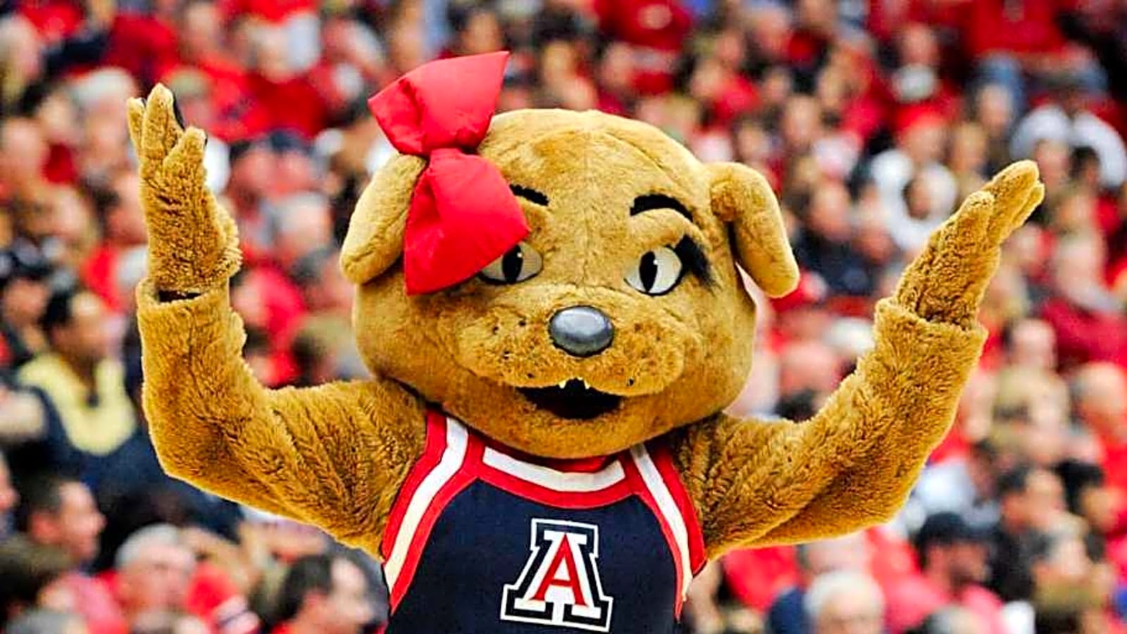 Arizona WBB Has Big-Time Visitor on Campus