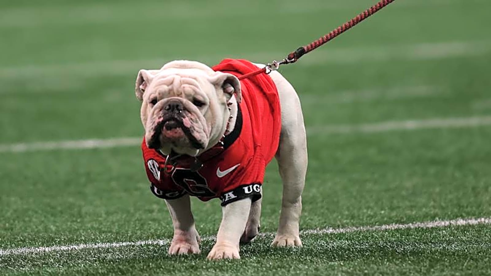 Georgia Bulldogs Lose a Commitment From 2026 Recruiting Class to the Miami Hurricanes