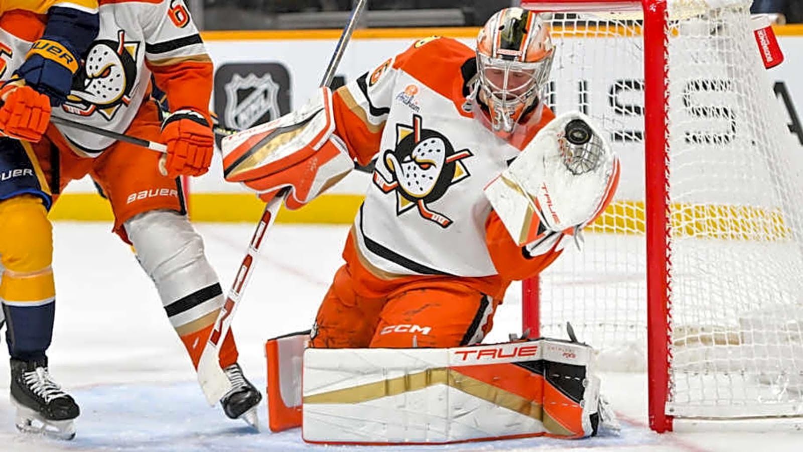 Ducks Trade Superstar Goalie to Red Wings