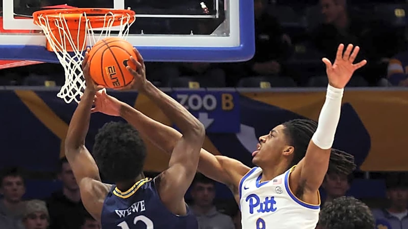 Pitt Suffers Embarrassing Loss to Quinnipiac