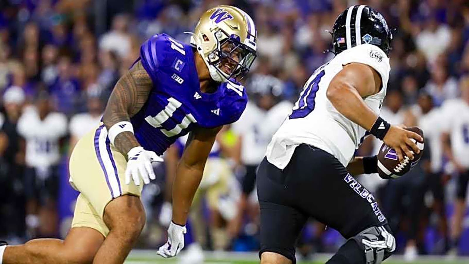 Seahawks sign standout former UW Huskies linebacker
