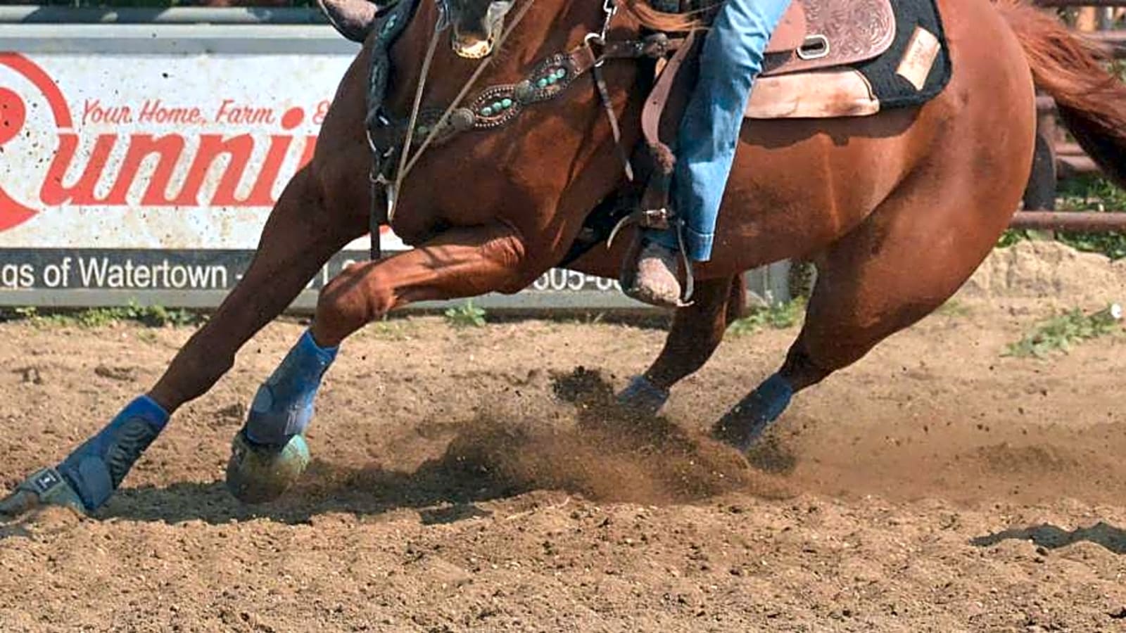 San Antonio Qualifier in Uvalde, Texas Cancelled Due to EHV-1 Outbreak