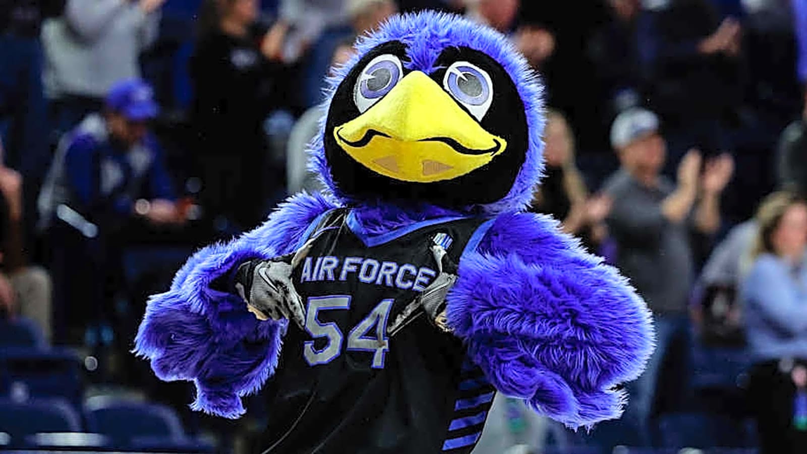 Nine Air Force Falcons Selected for Academic All-District At-Large