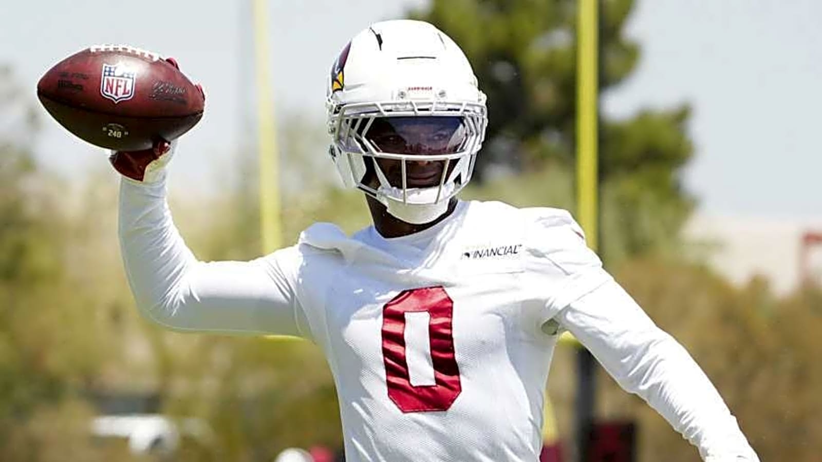 Arizona Cardinals Best Offseason Decision Revealed