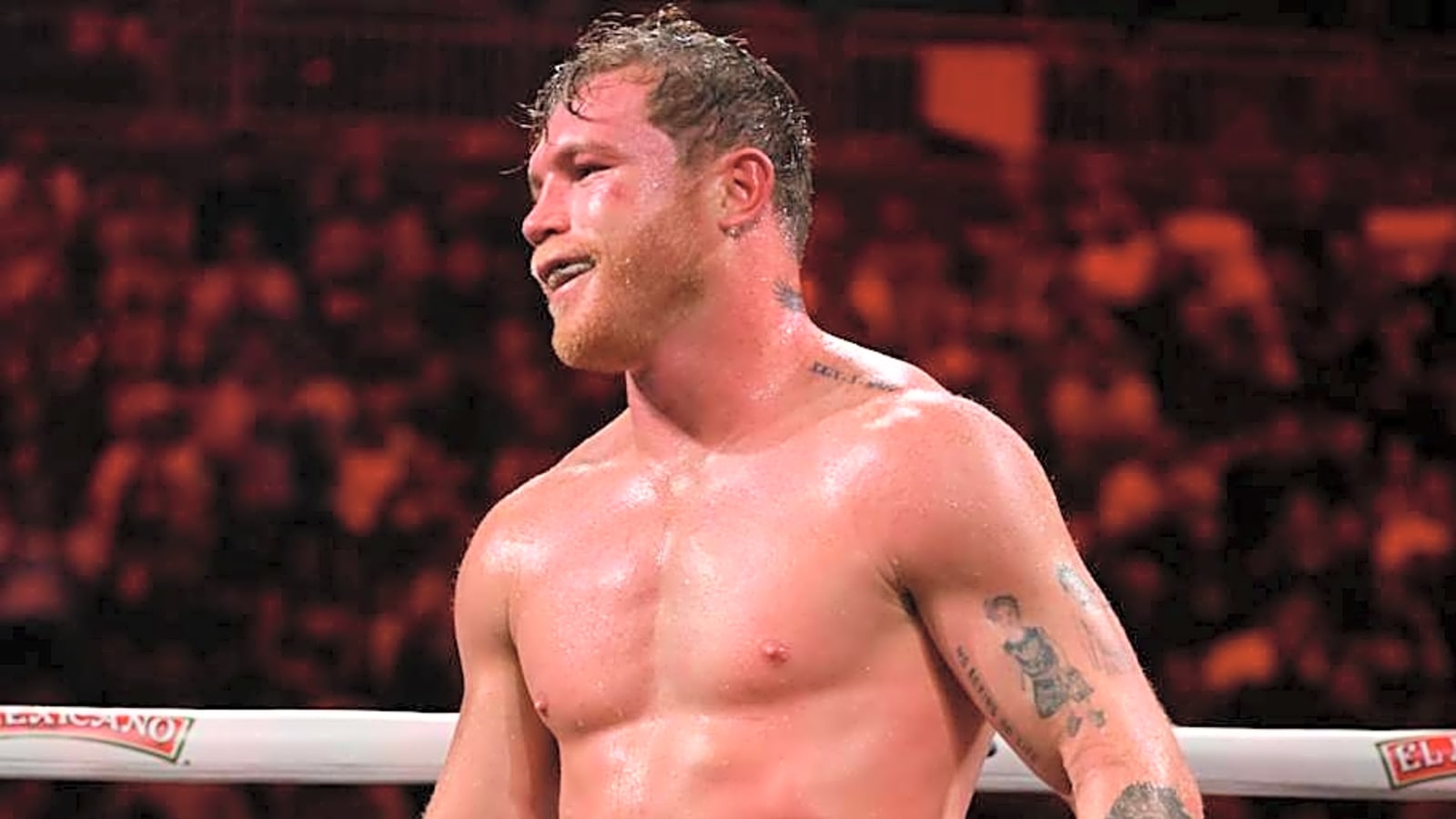 Turki Alalshikh Reveals List of Boxers He Wants For Canelo Alvarez vs Terence Crawford Undercard