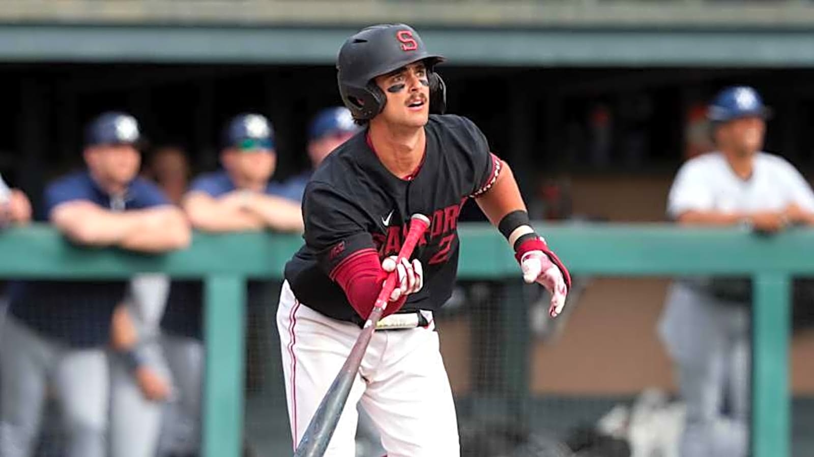 Toronto Blue Jays Sign Stanford Catcher