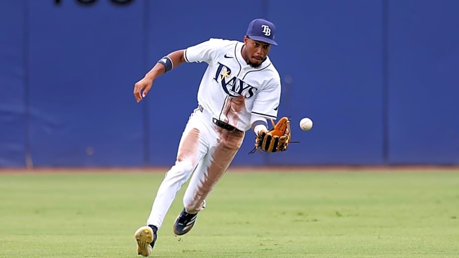 Rays in the Postseason? MLB Says Home Games Would Be Played at Steinbrenner Field