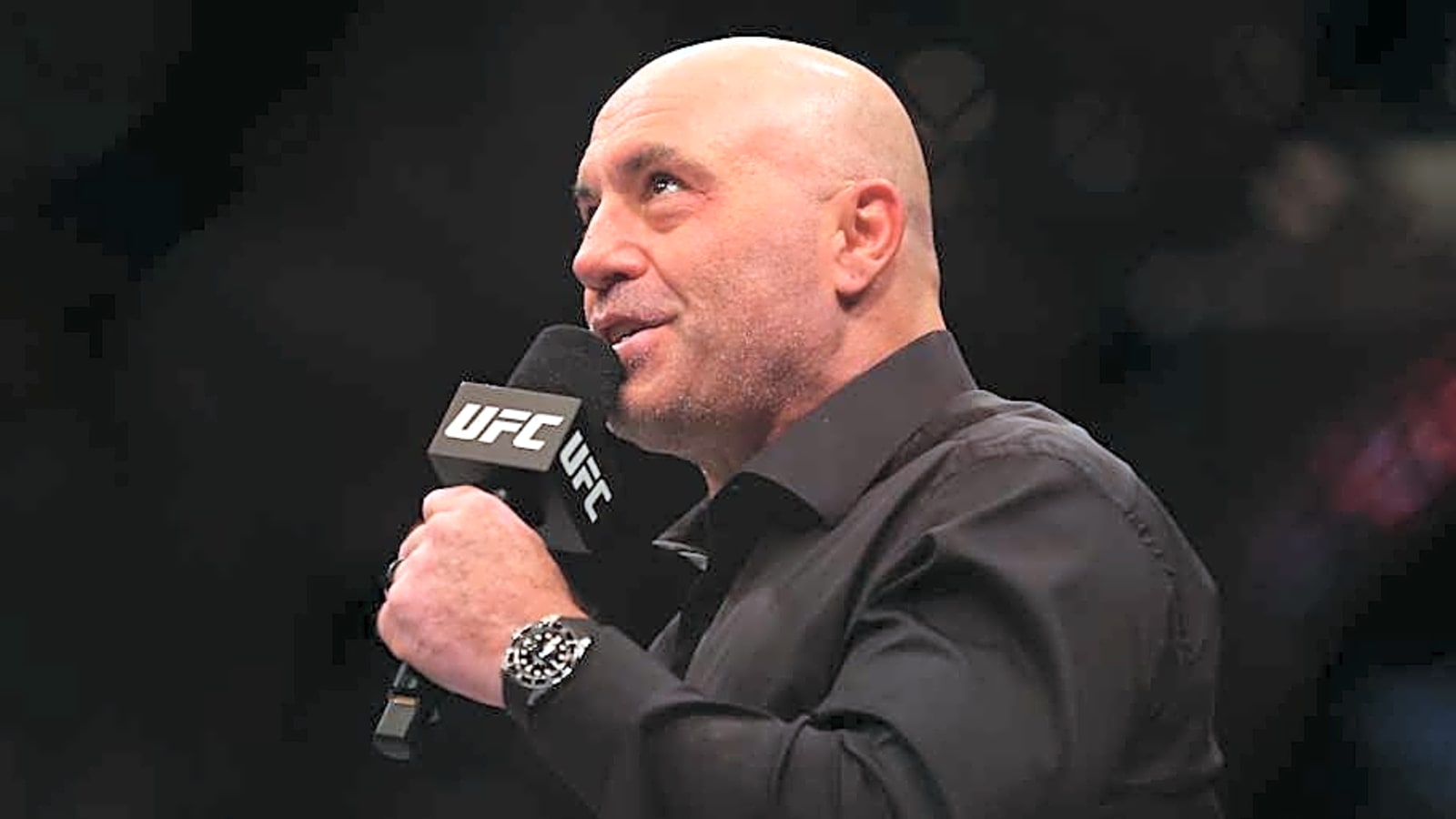 Joe Rogan thinks steroids would solve UFC&#39;s biggest problem