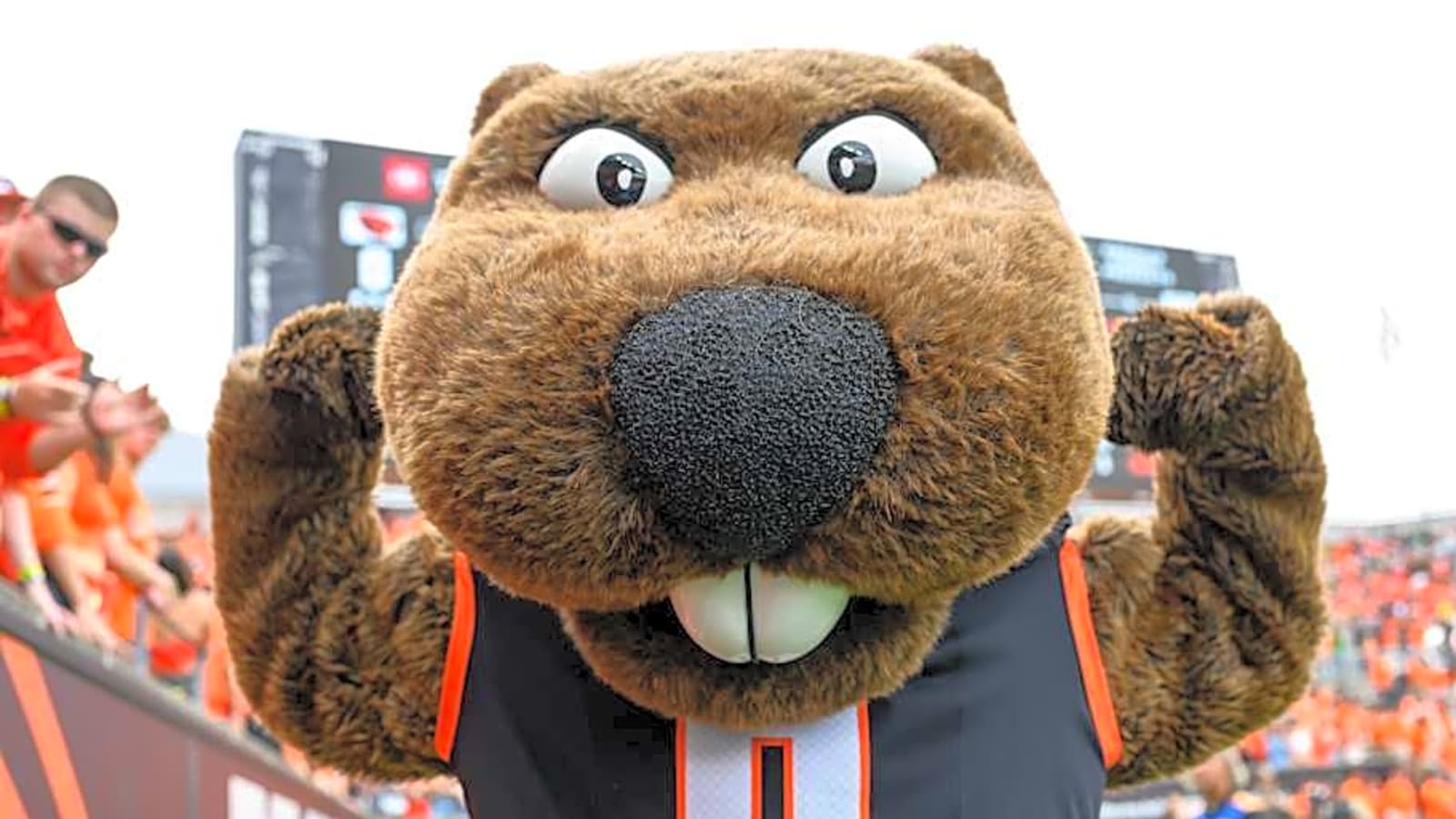 Oregon State Men&#39;s Soccer: Arnau Farnos Earns National Preseason Recognition