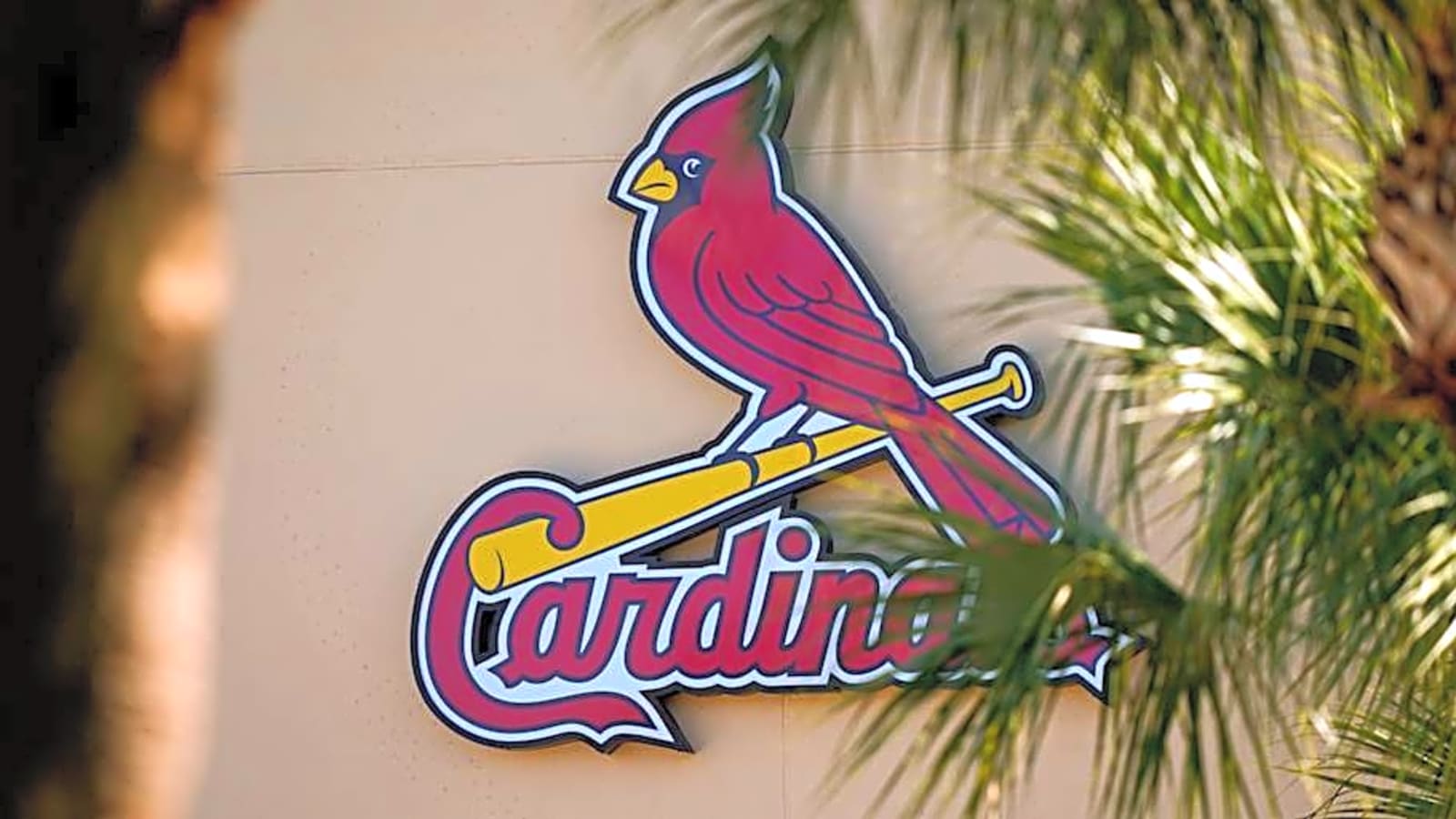 Cardinals All-Star Hopeful Becoming ‘Untradeable’ Asset