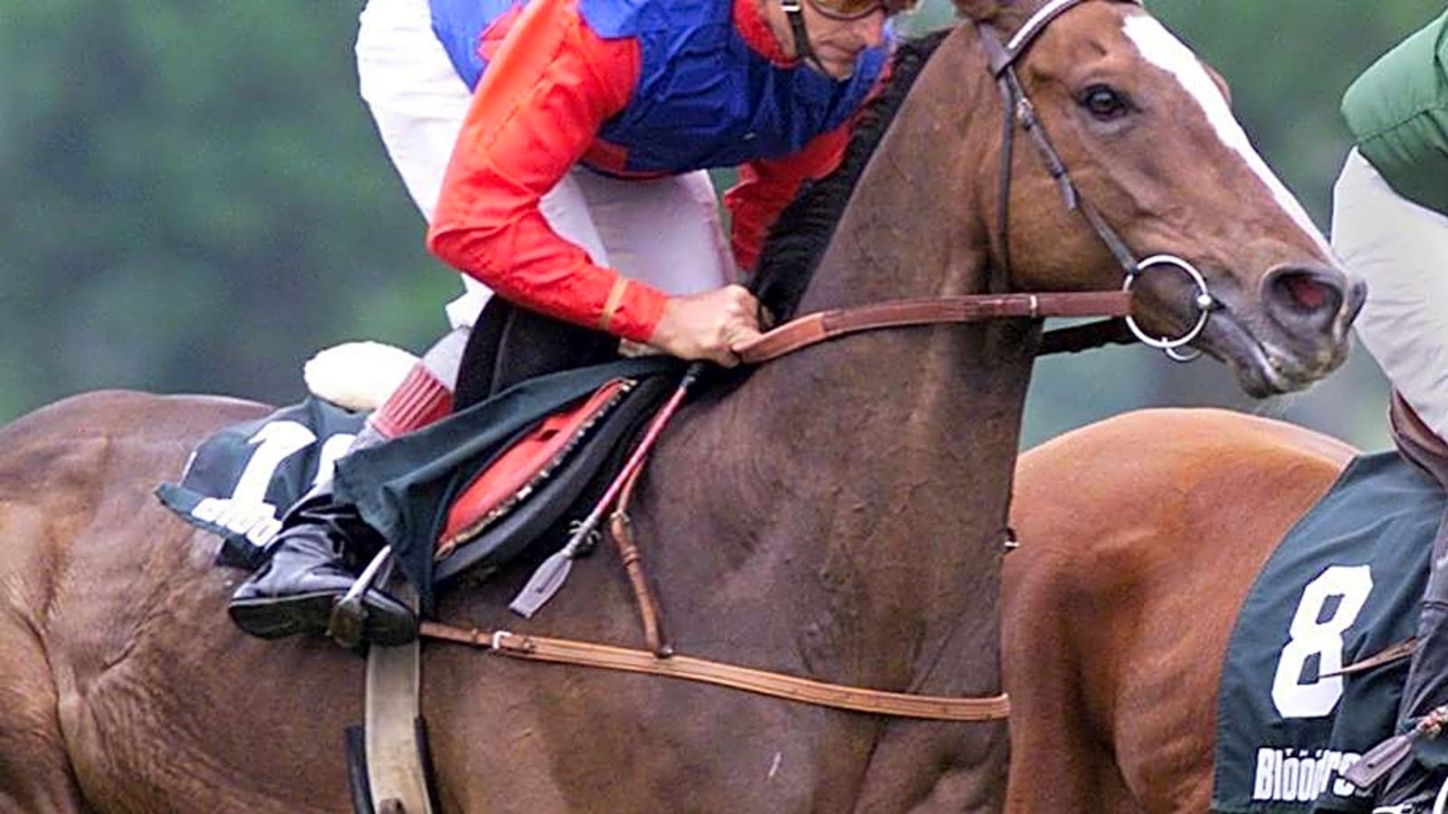 The French Firecracker at the Royal Ascot