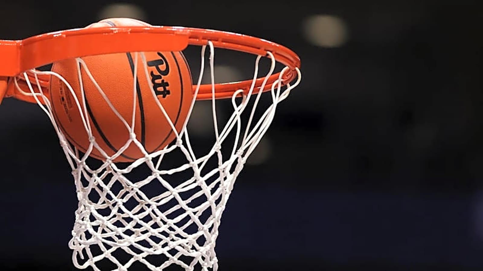 Pitt Women's Basketball Hires New Head Coach