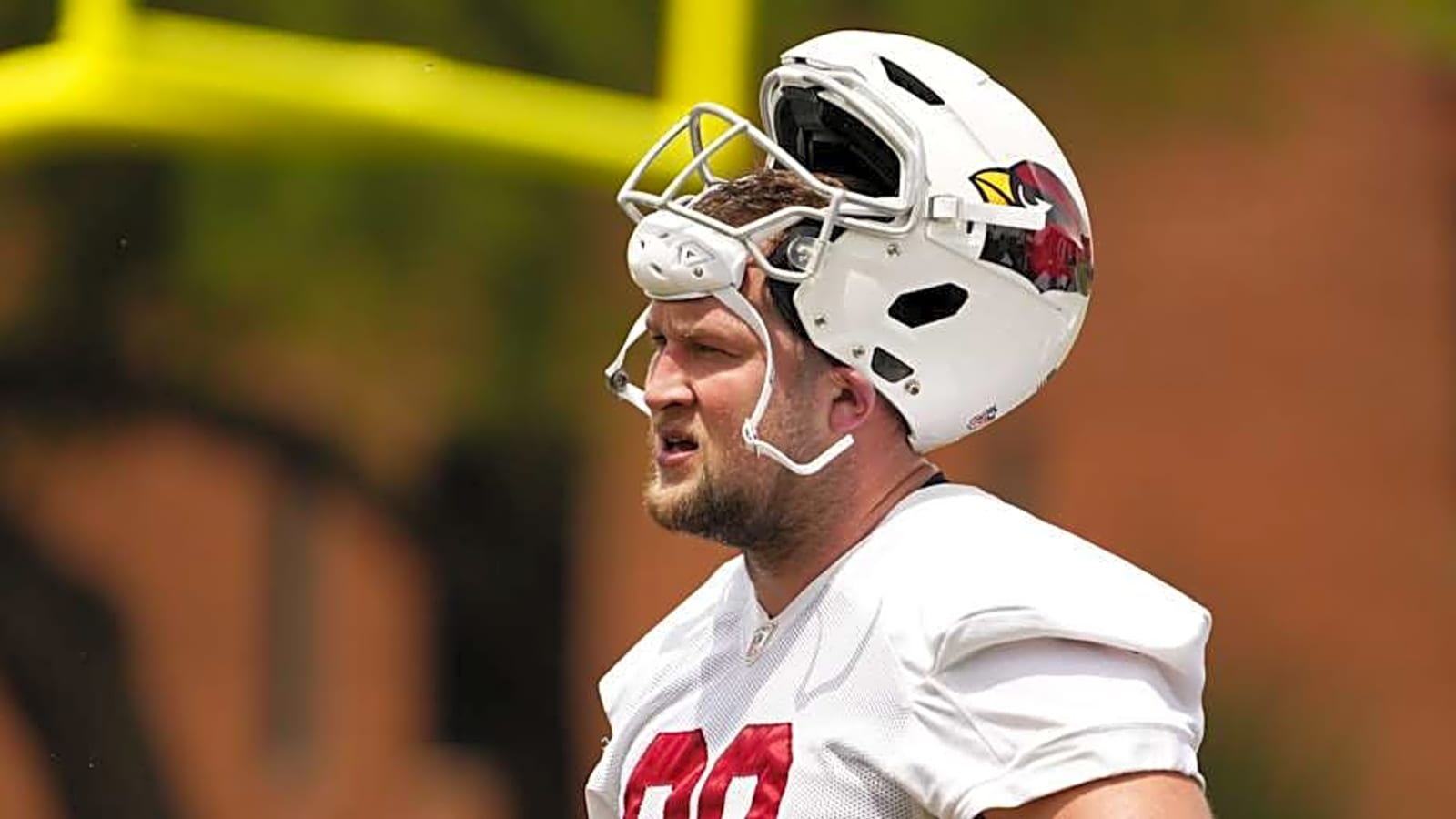 Dolphins Sign Cardinals DL
