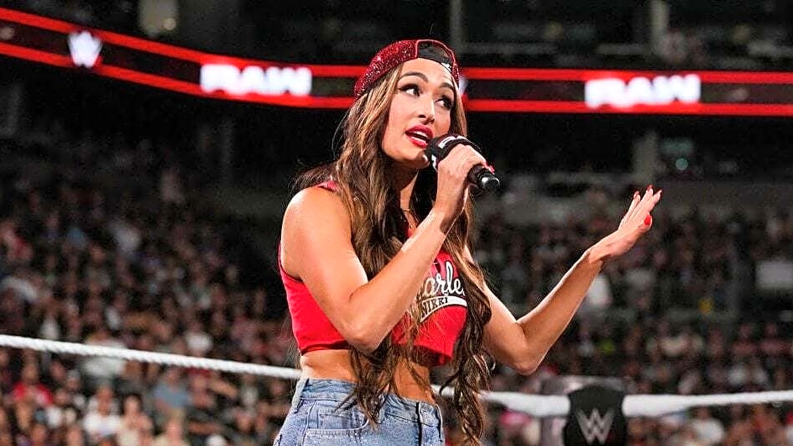 What’s Next for Nikki Bella in WWE?