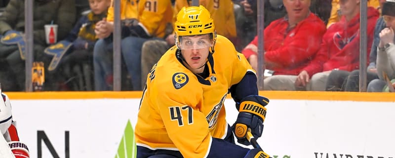 Wild acquire Michael McCarron: What it means for team and player