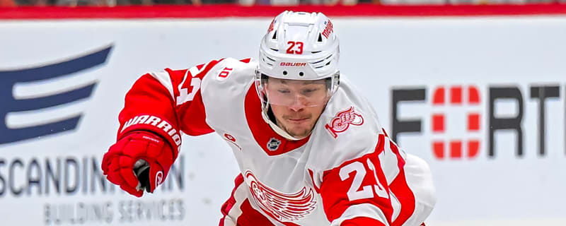 Lucas Raymond is the Perfect Winger to Play Alongside