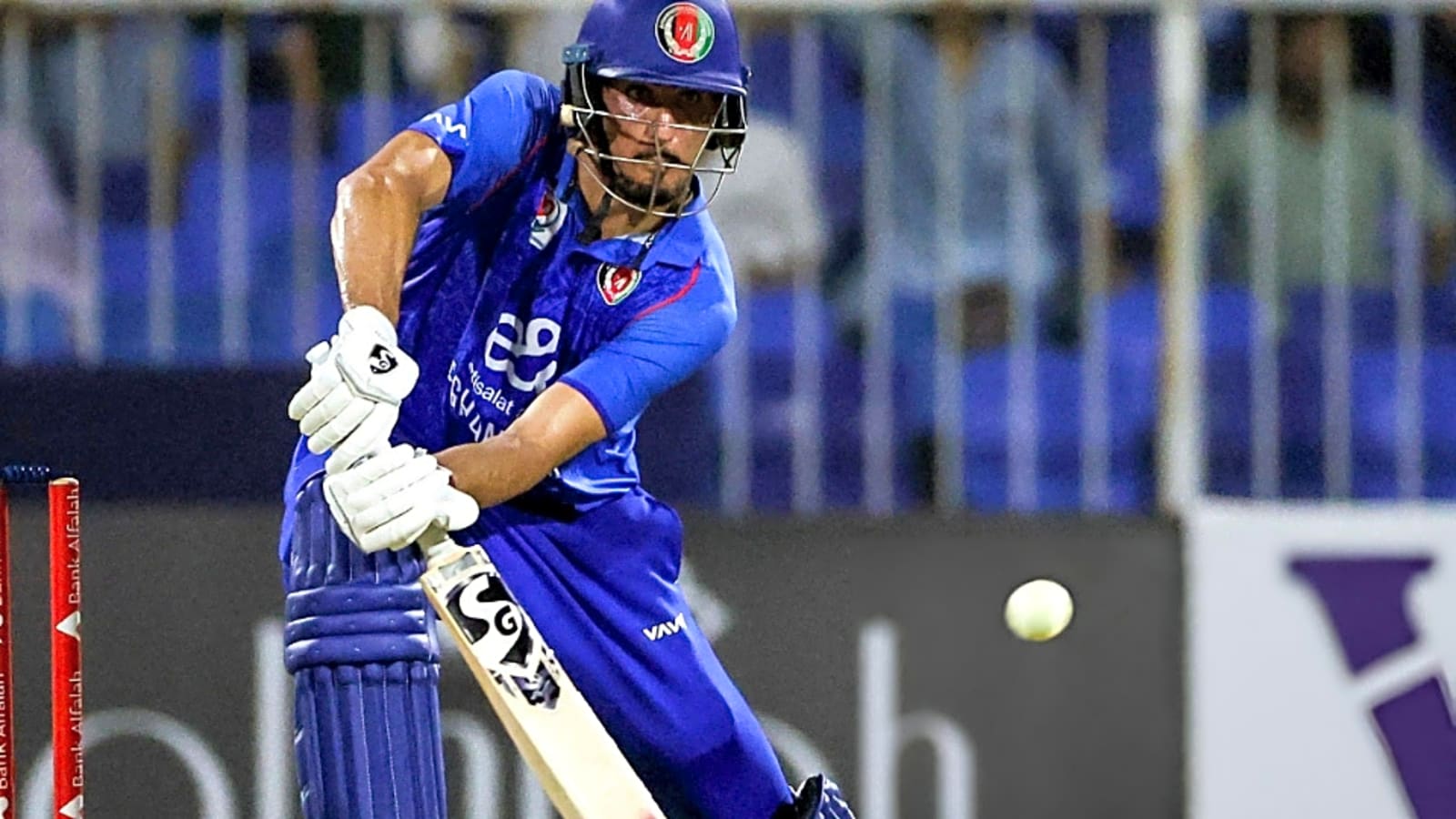 Qatar vs Afghanistan Prediction, Only T20I – Who will win today’s match between QAT vs AFG?