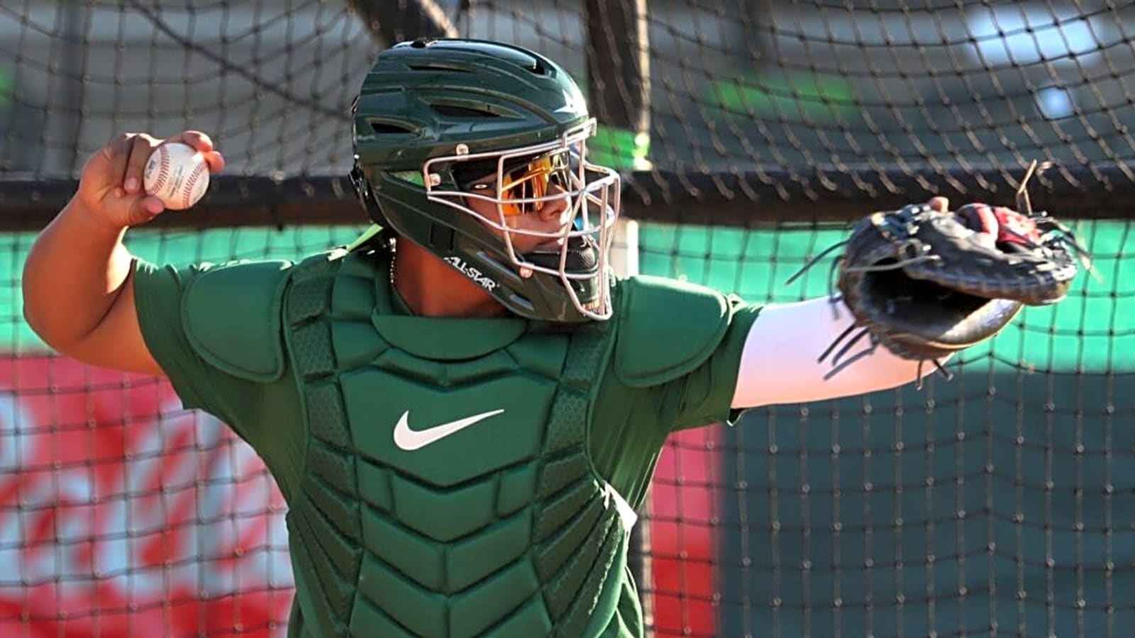 Alfredo Duno: Cincinnati Reds’ Intriguing Catching Prospect