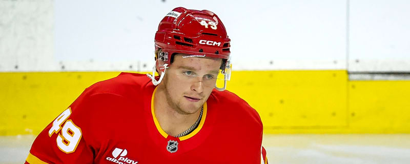 Flames Loan Andrew Basha To WHL