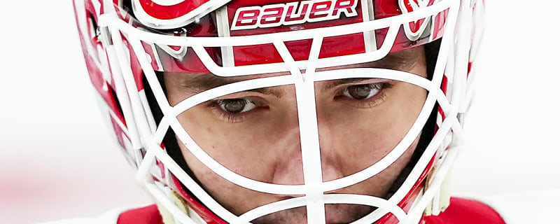 Red Wings Recall Michal Postava