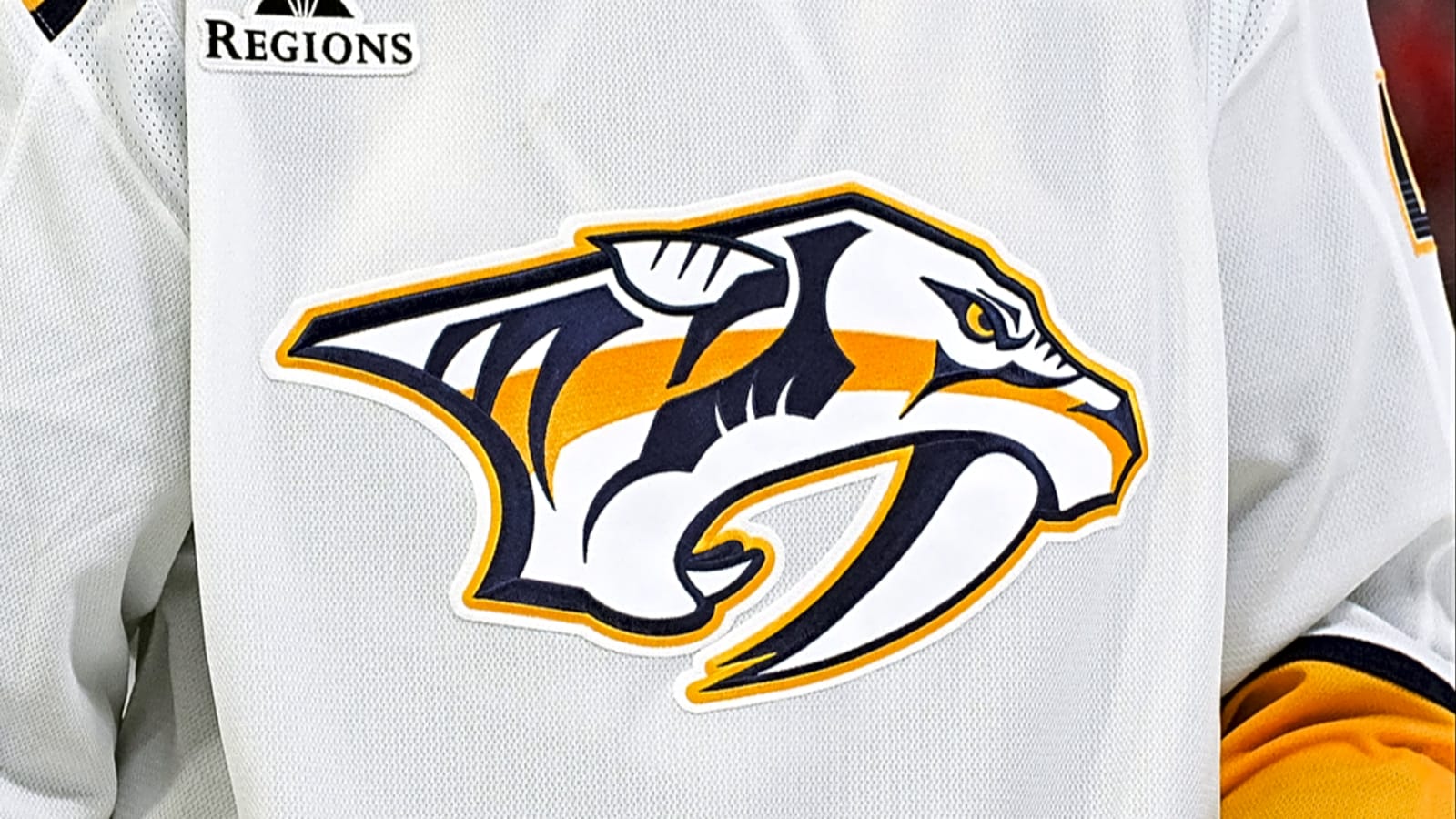  Predators hire Chris MacFarland as general manager