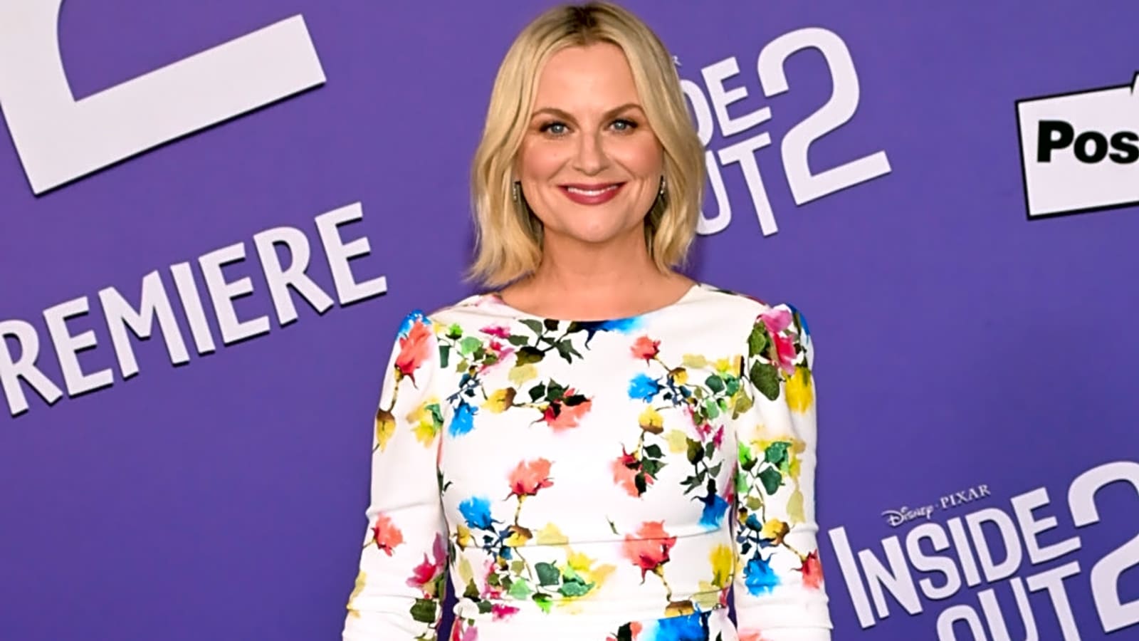 Amy Poehler admits to starring in &#39;inappropriate&#39; sketches