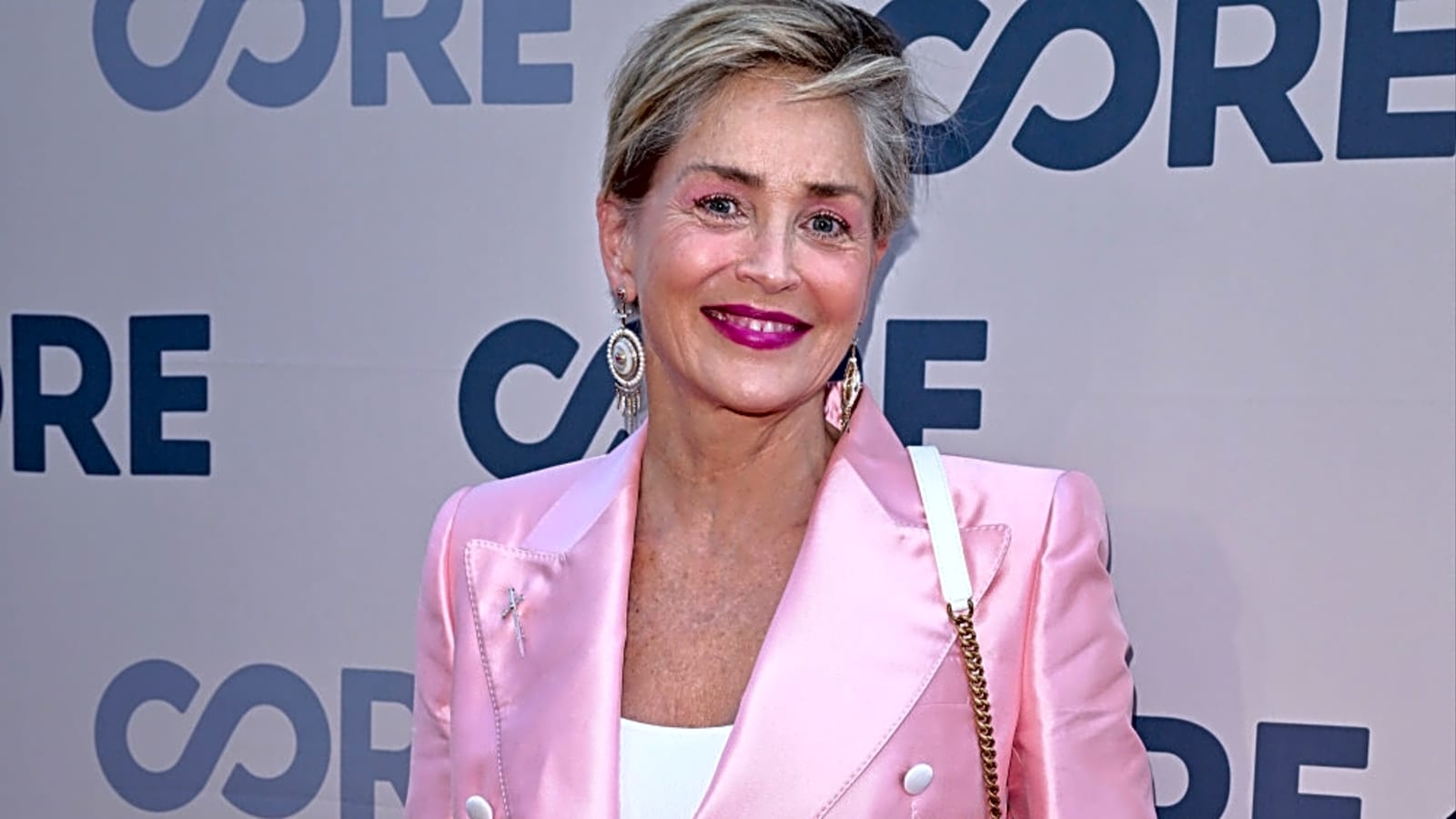 Sharon Stone doesn&#39;t understand why Basic Instinct is being remade