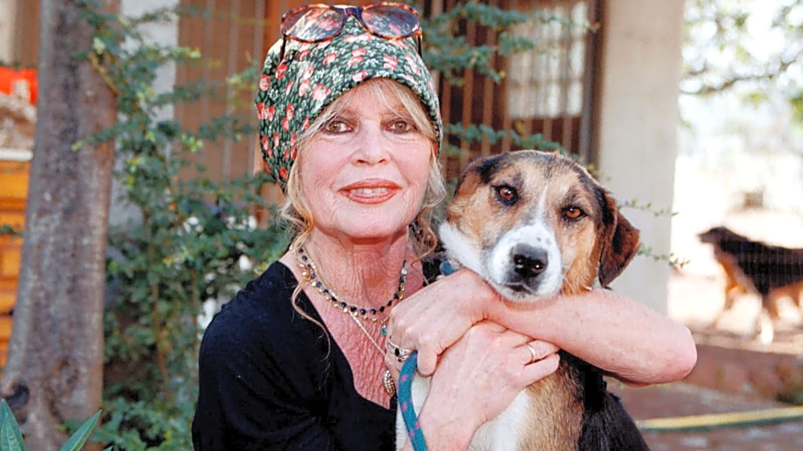 Brigitte Bardot thinks it is a 'miracle' she's alive