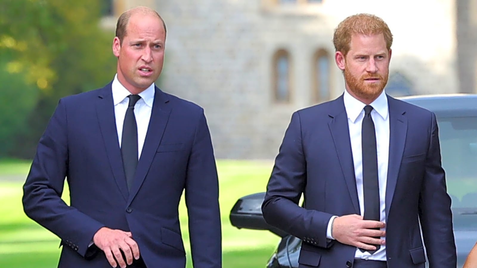 Prince Harry and Prince William to reconcile &#39;in the not-too-distant future&#39;