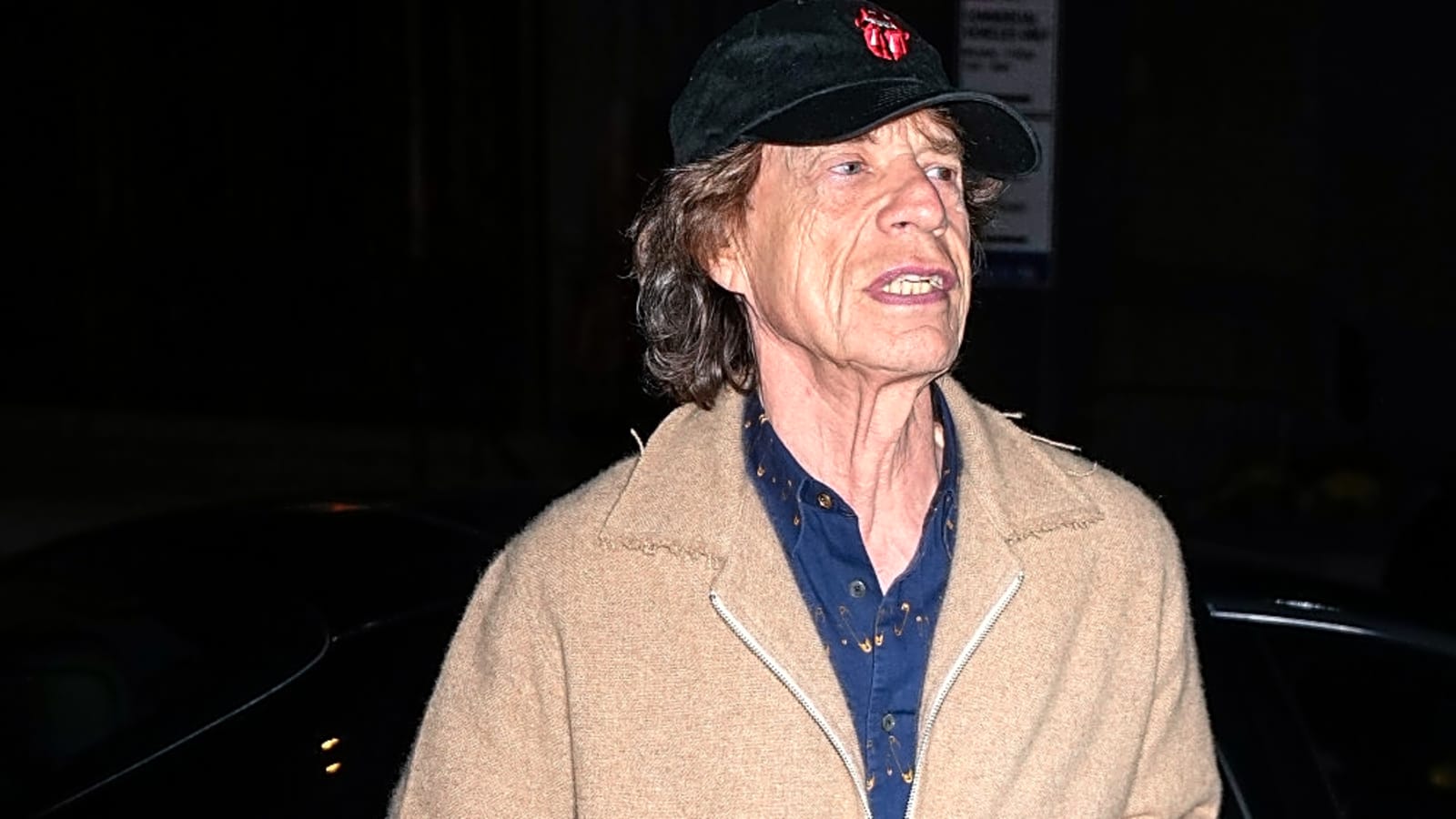 Sir Mick Jagger is family 'tour guide'