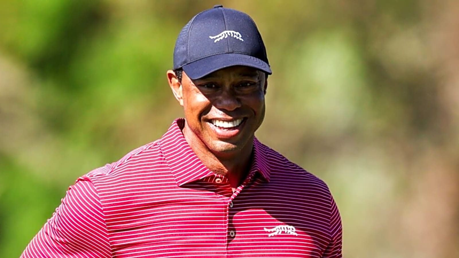 Tiger Woods Officially Charged With Crime, Facing Jail Time