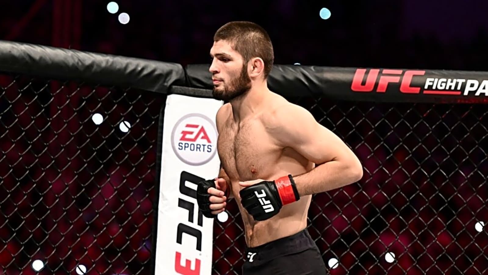 Khabib Nurmagomedov Reveals Why MMA Felt Easier Than Running Multiple Businesses