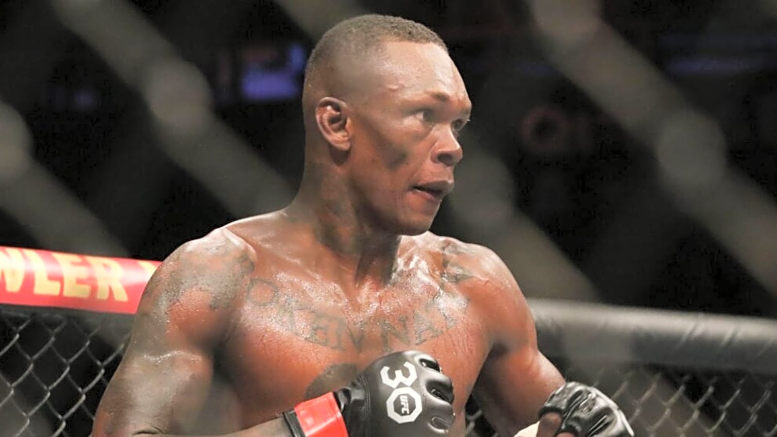 MMA Veteran Says Israel Adesanya Doesn’t Need To Fight Anymore