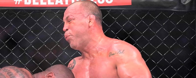 Wanderlei Silva Seeks Justice as Alleged A*sault Costs 180 Days of Boxing Career
