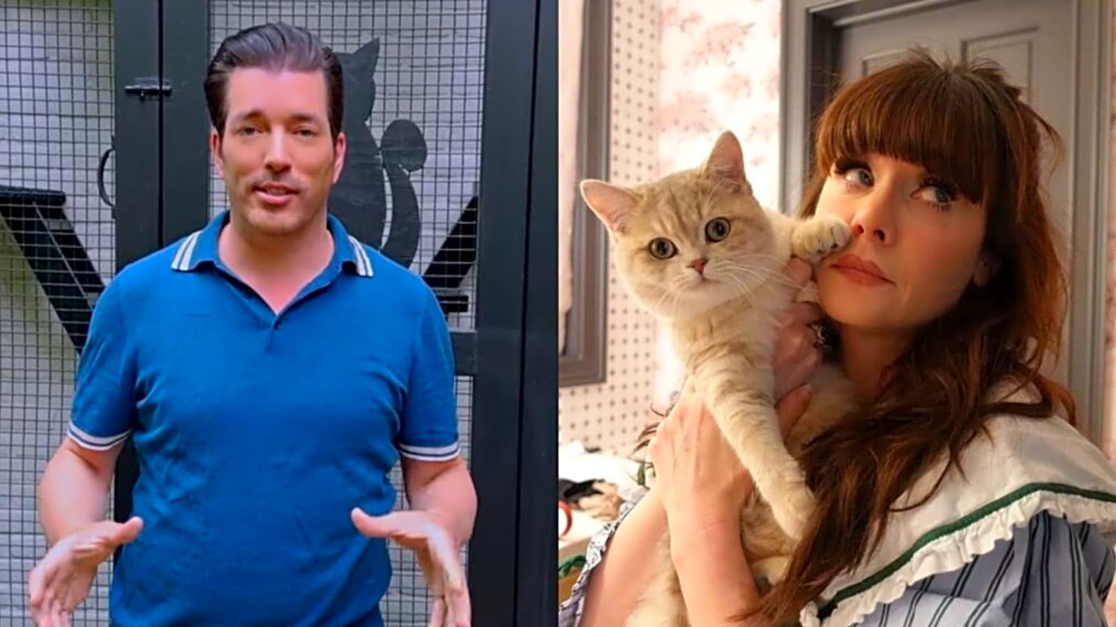 Jonathan Scott Builds Fun Gift for His and Zooey Deschanel’s Pet Cats