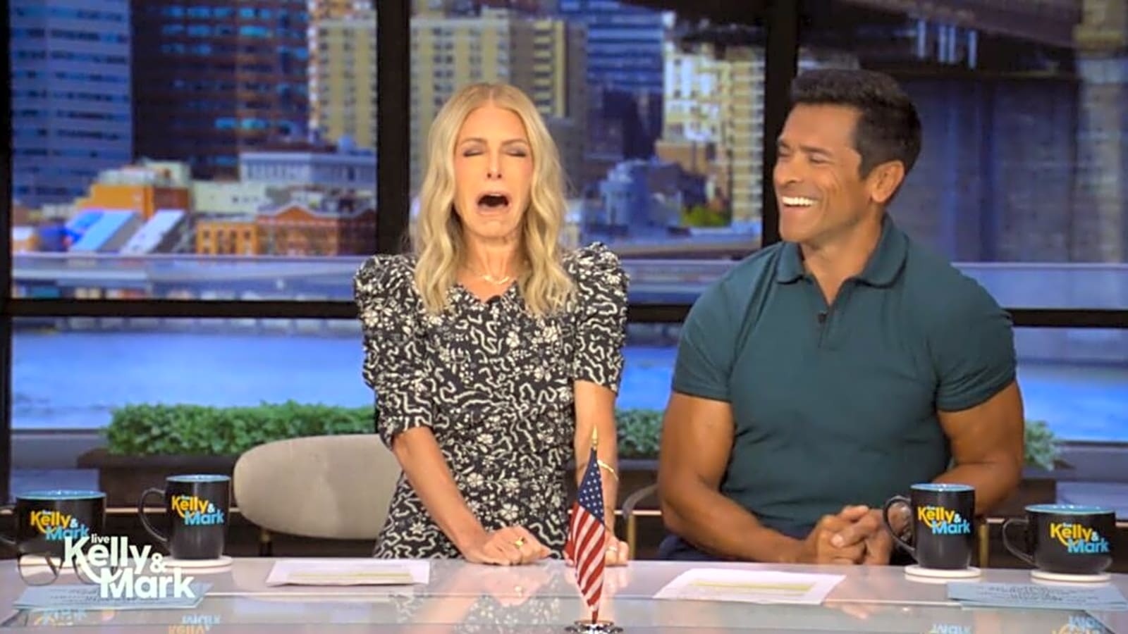 ‘Live’: Kelly Ripa Reveals She Was Grossed Out by Male Passenger on Train