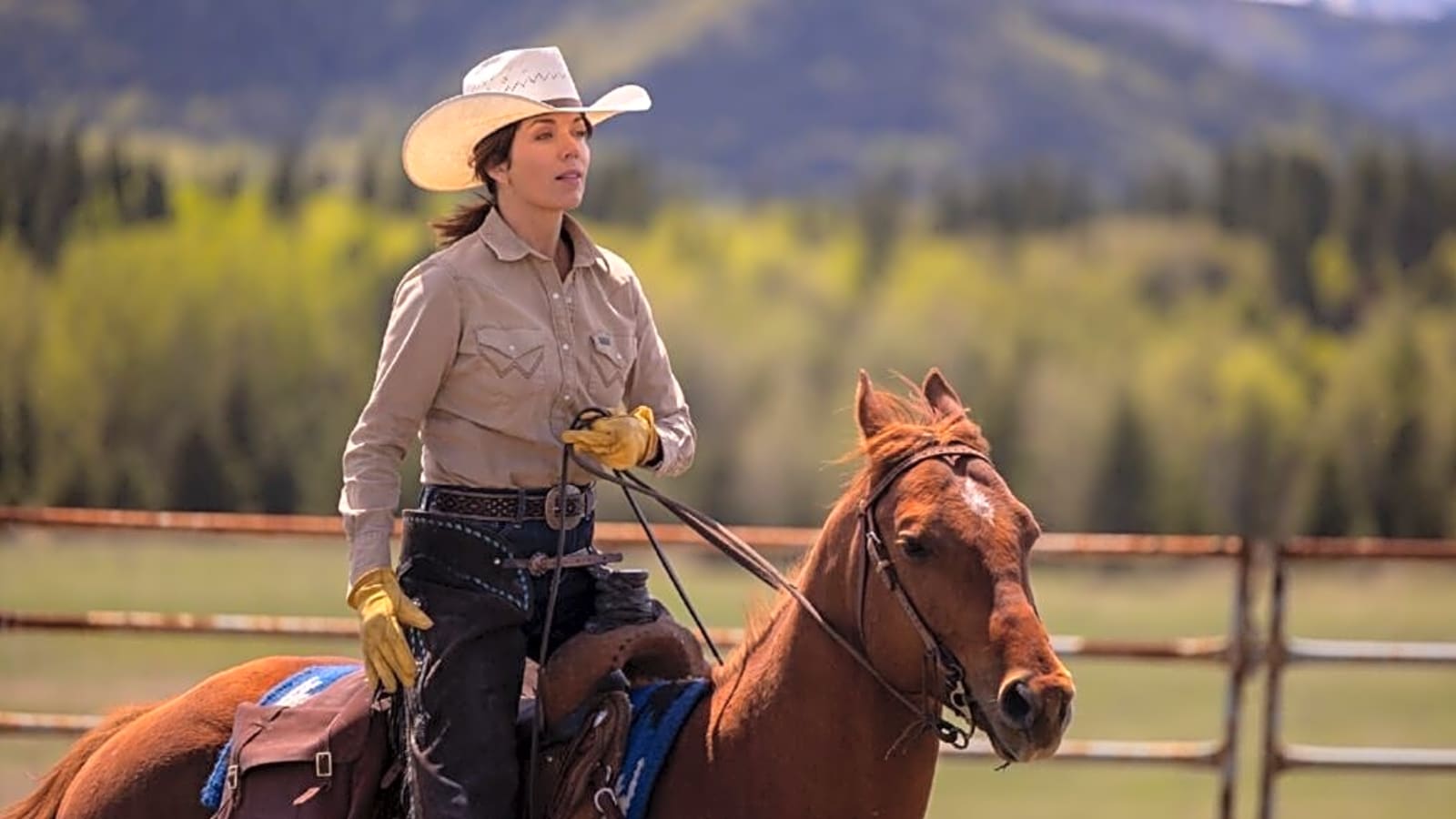 ‘Heartland’: Michelle Morgan Opens Up About Lou’s Season 18 Journey & Family Struggles
