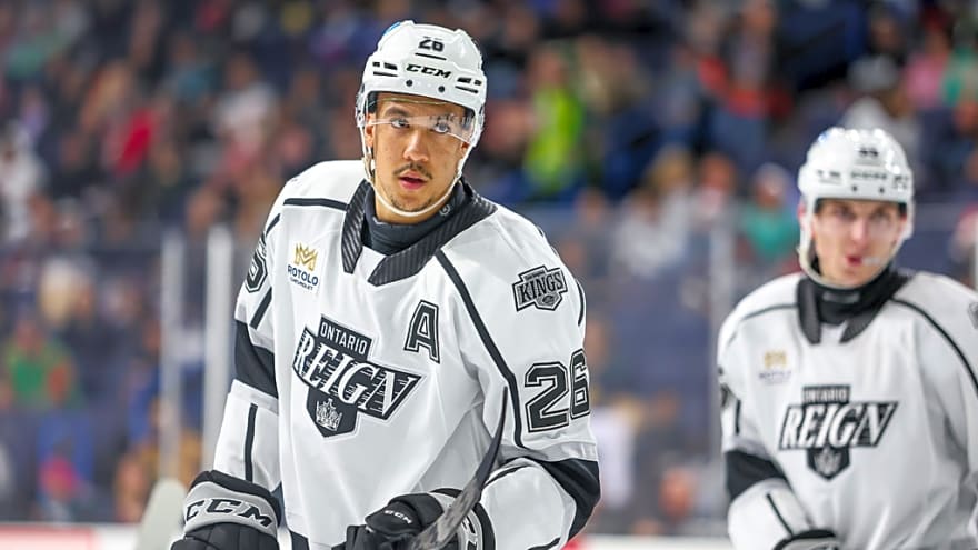 LA Kings Training Camp Preview: Andre Lee